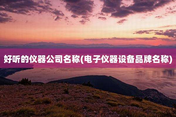 好听的仪器公司名称(电子仪器设备品牌名称)