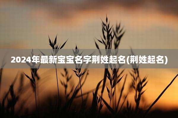 2024年最新宝宝名字荆姓起名(荆姓起名)