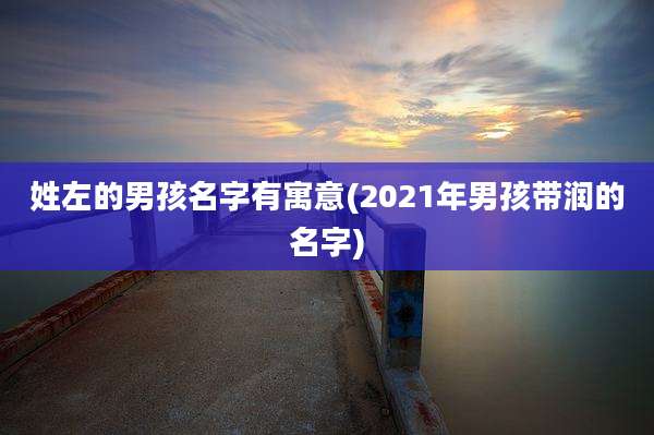 姓左的男孩名字有寓意(2021年男孩带润的名字)