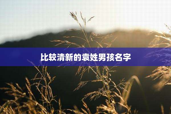 比较清新的袁姓男孩名字