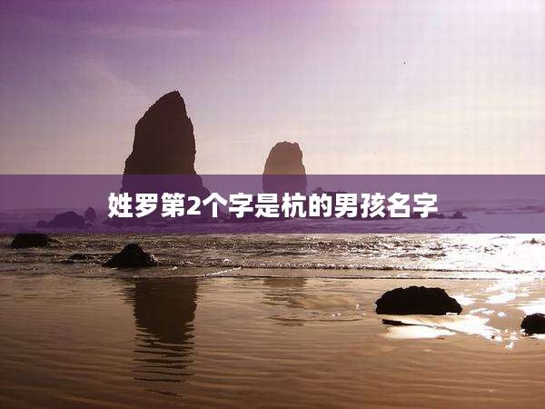 姓罗第2个字是杭的男孩名字