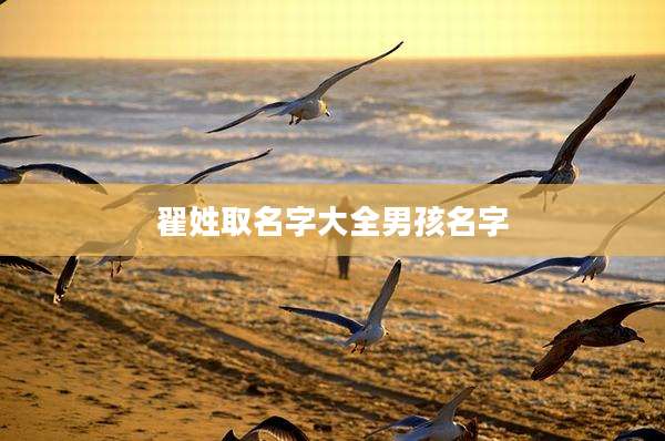 翟姓取名字大全男孩名字