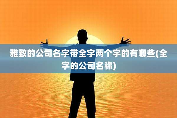 雅致的公司名字带全字两个字的有哪些(全字的公司名称)