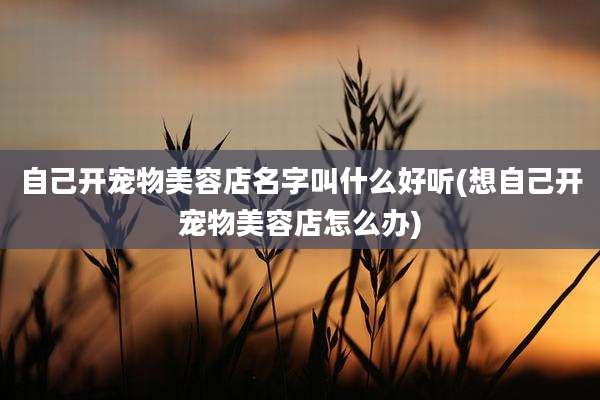 自己开宠物美容店名字叫什么好听(想自己开宠物美容店怎么办)