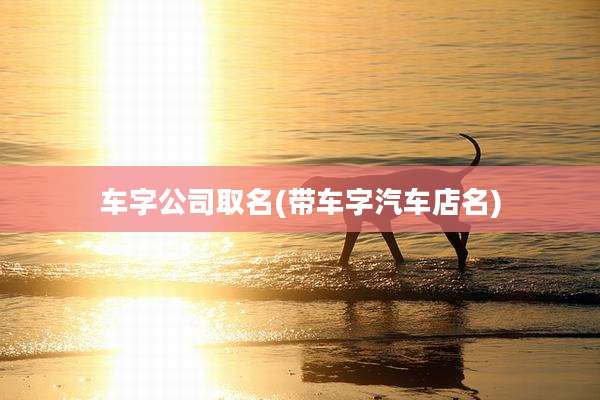车字公司取名(带车字汽车店名)