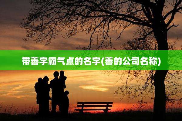带善字霸气点的名字(善的公司名称)