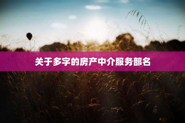 关于多字的房产中介服务部名