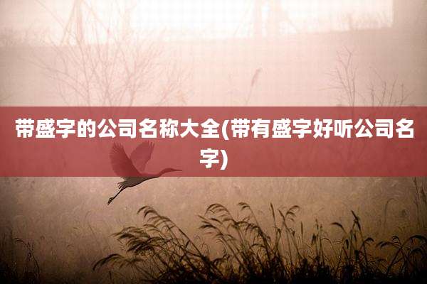 带盛字的公司名称大全(带有盛字好听公司名字)