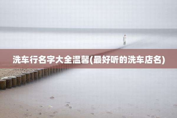 洗车行名字大全温馨(最好听的洗车店名)