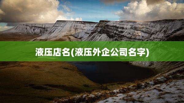 液压店名(液压外企公司名字)