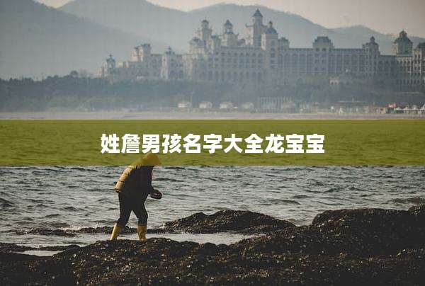 姓詹男孩名字大全龙宝宝