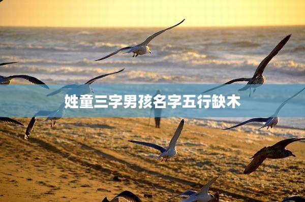 姓童三字男孩名字五行缺木