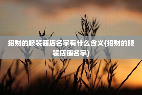 招财的服装商店名字有什么含义(招财的服装店铺名字)