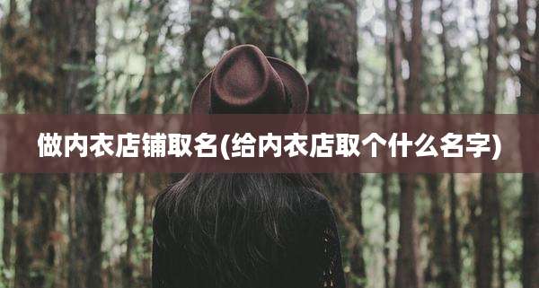 做内衣店铺取名(给内衣店取个什么名字)