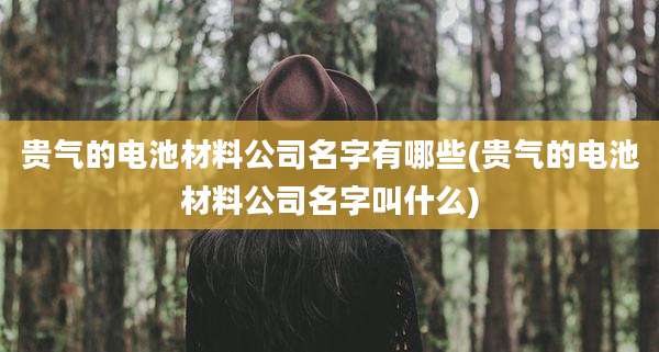 贵气的电池材料公司名字有哪些(贵气的电池材料公司名字叫什么)