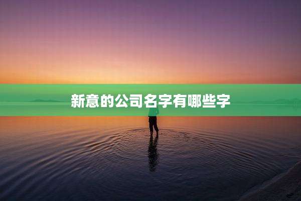 新意的公司名字有哪些字