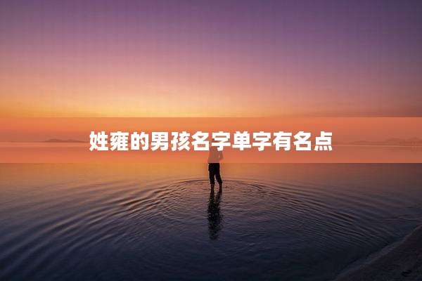 姓雍的男孩名字单字有名点