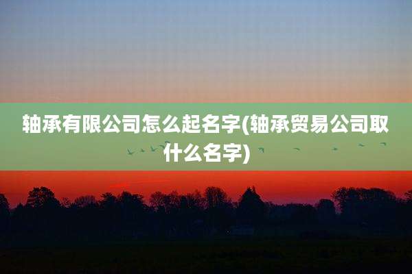 轴承有限公司怎么起名字(轴承贸易公司取什么名字)