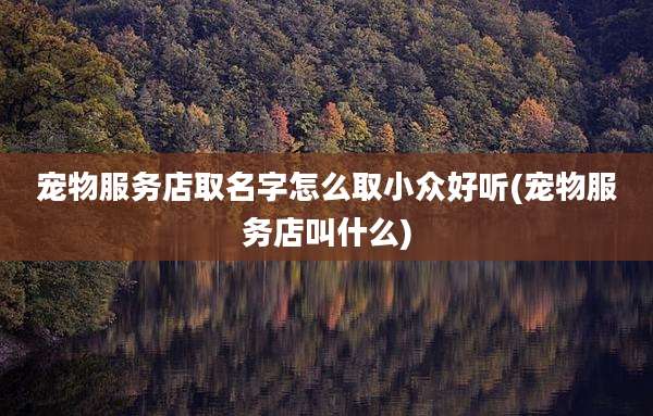 宠物服务店取名字怎么取小众好听(宠物服务店叫什么)