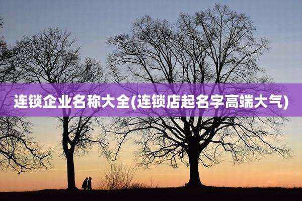 连锁企业名称大全(连锁店起名字高端大气)