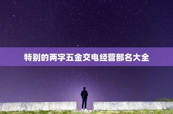特别的两字五金交电经营部名大全