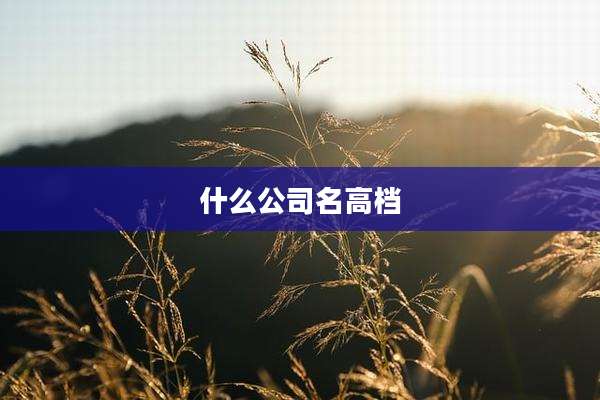 什么公司名高档