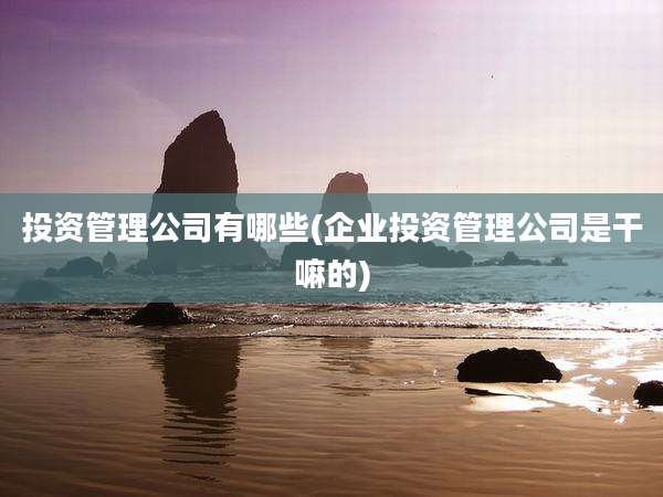 投资管理公司有哪些(企业投资管理公司是干嘛的)