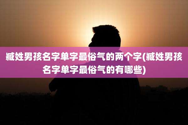 臧姓男孩名字单字最俗气的两个字(臧姓男孩名字单字最俗气的有哪些)