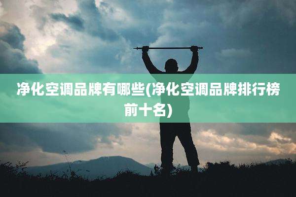 净化空调品牌有哪些(净化空调品牌排行榜前十名)