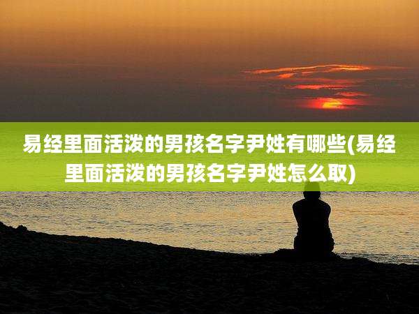 易经里面活泼的男孩名字尹姓有哪些(易经里面活泼的男孩名字尹姓怎么取)
