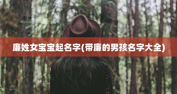 廉姓女宝宝起名字(带廉的男孩名字大全)