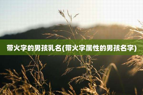 带火字的男孩乳名(带火字属性的男孩名字)