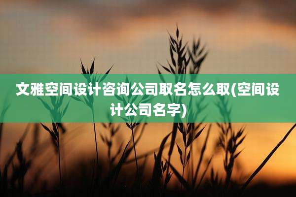 文雅空间设计咨询公司取名怎么取(空间设计公司名字)