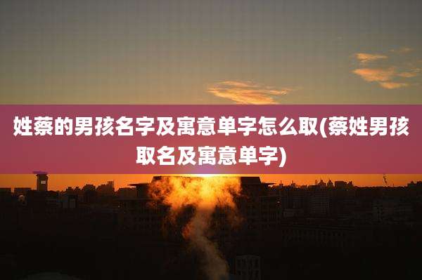 姓蔡的男孩名字及寓意单字怎么取(蔡姓男孩取名及寓意单字)