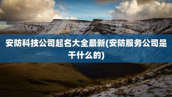 安防科技公司起名大全最新(安防服务公司是干什么的)