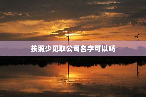 按照少见取公司名字可以吗