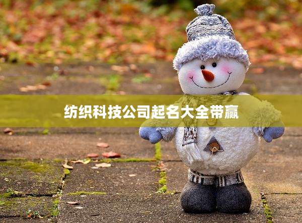 纺织科技公司起名大全带赢