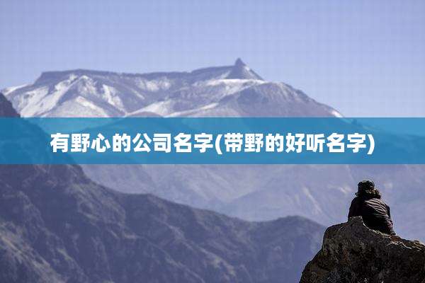 有野心的公司名字(带野的好听名字)