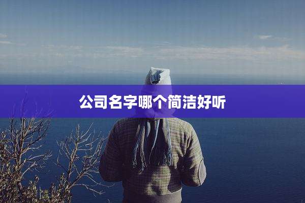 公司名字哪个简洁好听