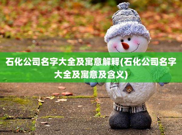 石化公司名字大全及寓意解释(石化公司名字大全及寓意及含义)