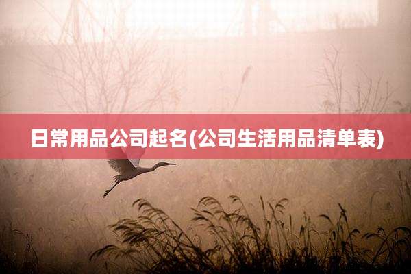 日常用品公司起名(公司生活用品清单表)