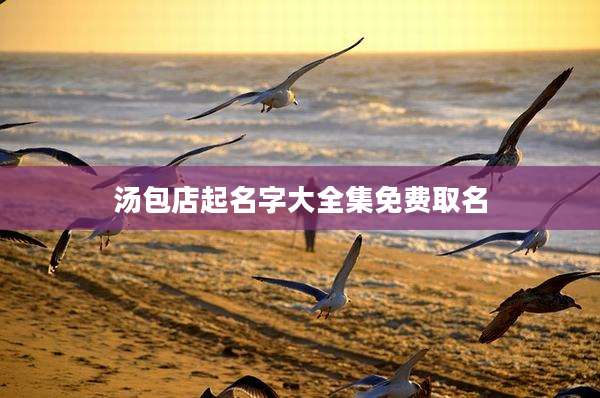 汤包店起名字大全集免费取名