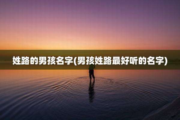 姓路的男孩名字(男孩姓路最好听的名字)