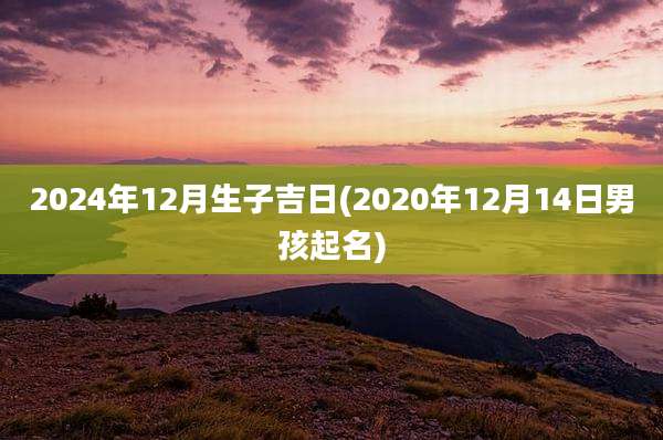 2024年12月生子吉日(2020年12月14日男孩起名)