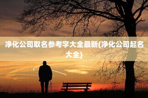 净化公司取名参考字大全最新(净化公司起名大全)
