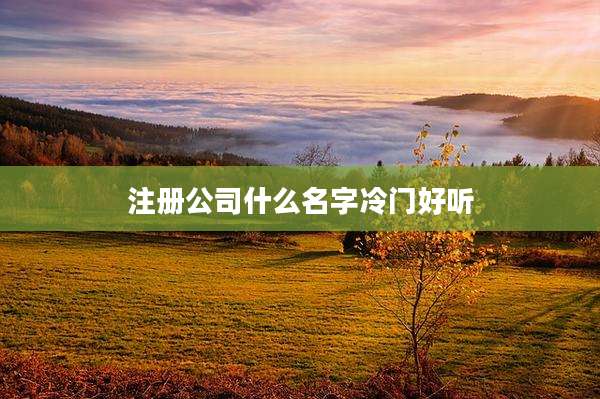 注册公司什么名字冷门好听