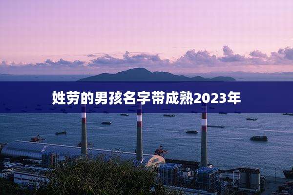 姓劳的男孩名字带成熟2023年