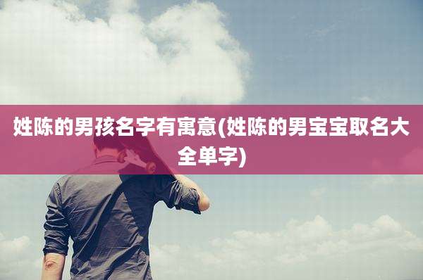 姓陈的男孩名字有寓意(姓陈的男宝宝取名大全单字)