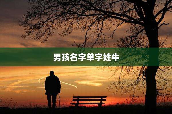 男孩名字单字姓牛