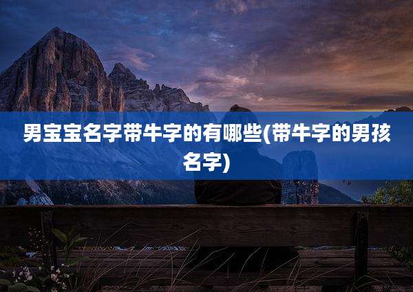 男宝宝名字带牛字的有哪些(带牛字的男孩名字)